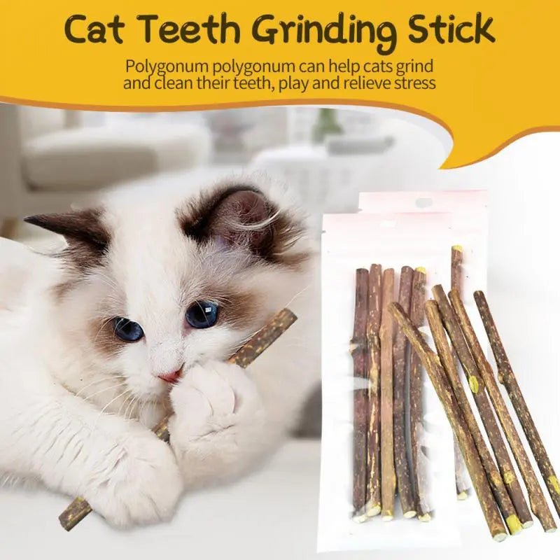 5 Sticks/bag Cat Chews Products All Natural Catnip Sticks Teeth Cleaning Cat Sticks Wood Tengo Molar Sticks For Cats Of All Ages