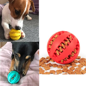 Puppy Chew Ball Toys