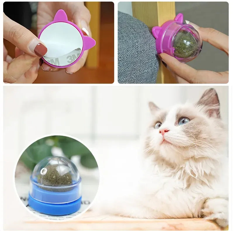 Healthy Cat Catnip Cat Candy Licking Snacks Interactive Ball Catnip Tumbler  Cat Feeding Puzzle Toy Fun Food Ball Smart Cat Toys