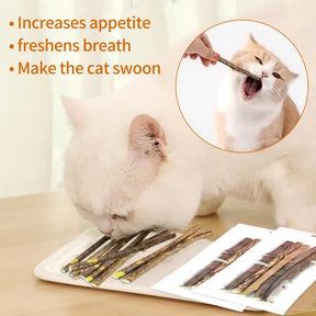 5 Sticks/bag Cat Chews Products All Natural Catnip Sticks Teeth Cleaning Cat Sticks Wood Tengo Molar Sticks For Cats Of All Ages