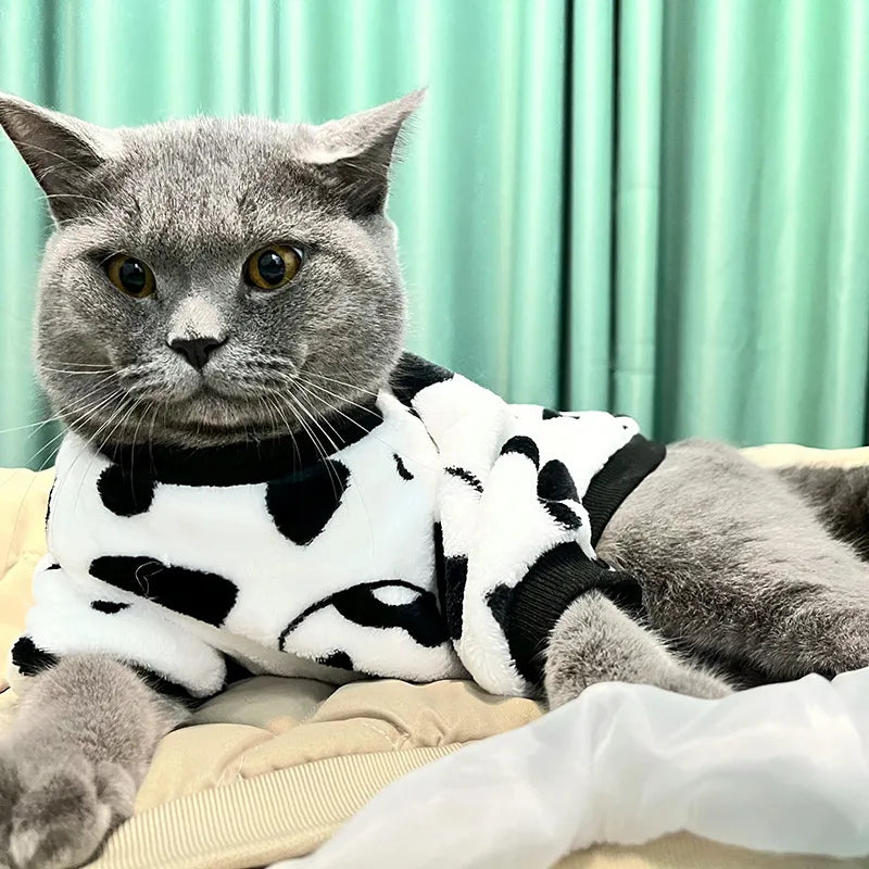 Fashion Pet Cat Clothes