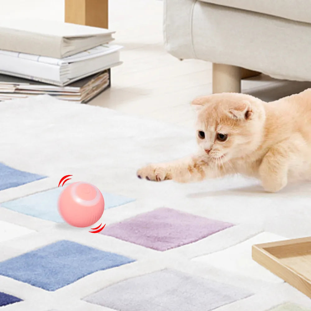 Smart Cat Toys Electric